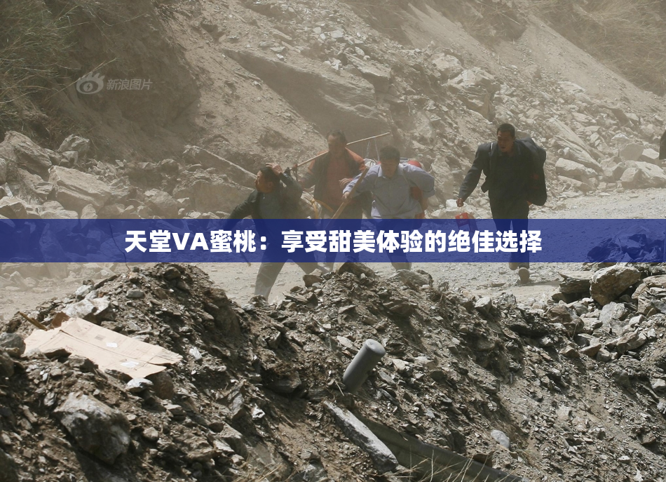 天堂VA蜜桃：享受甜美体验的绝佳选择