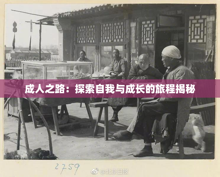 成人之路：探索自我与成长的旅程揭秘