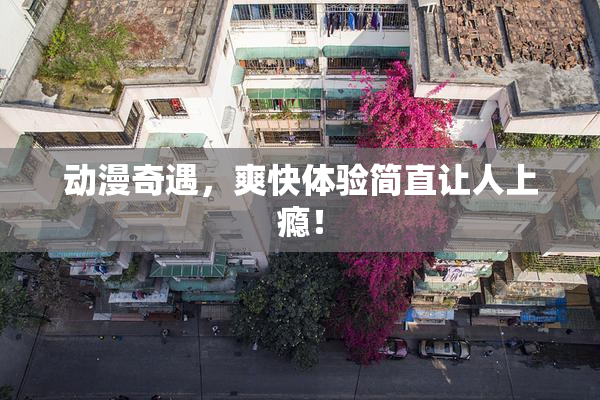 动漫奇遇，爽快体验简直让人上瘾！