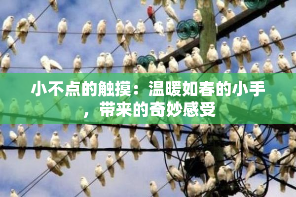 小不点的触摸：温暖如春的小手，带来的奇妙感受