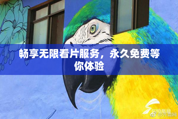 畅享无限看片服务，永久免费等你体验