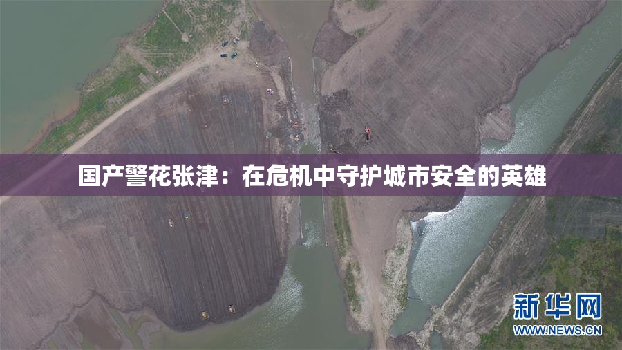 国产警花张津：在危机中守护城市安全的英雄