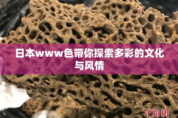 日本www色带你探索多彩的文化与风情