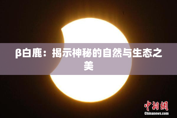 β白鹿：揭示神秘的自然与生态之美