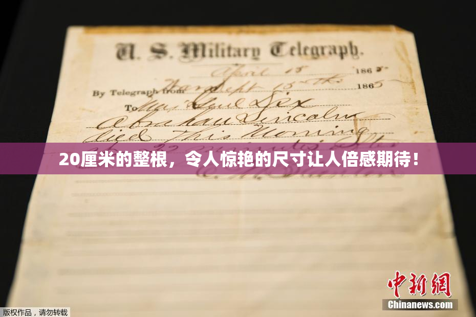 20厘米的整根，令人惊艳的尺寸让人倍感期待！
