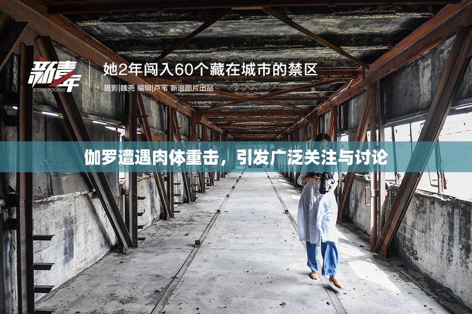 伽罗遭遇肉体重击，引发广泛关注与讨论