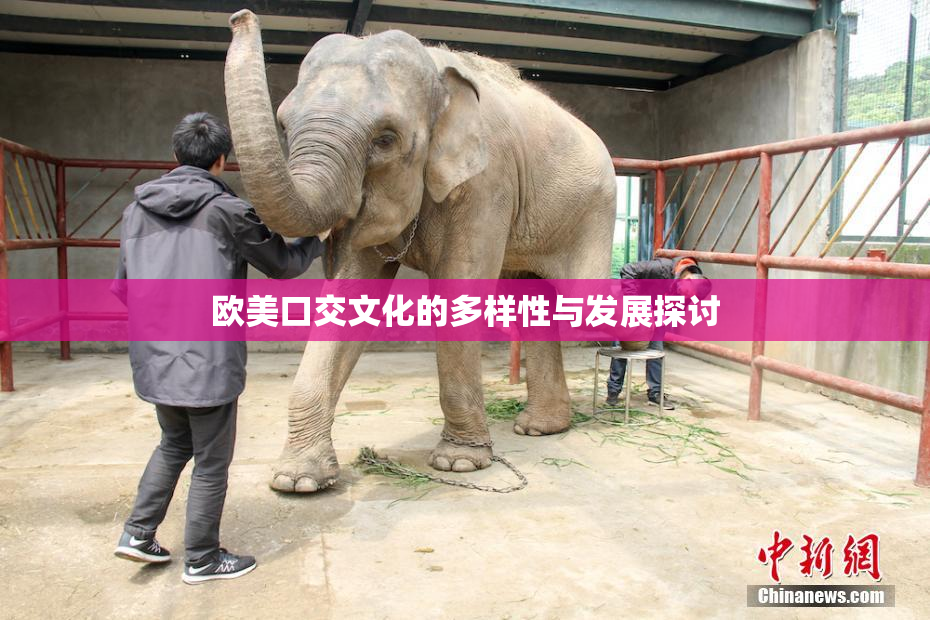 欧美口交文化的多样性与发展探讨