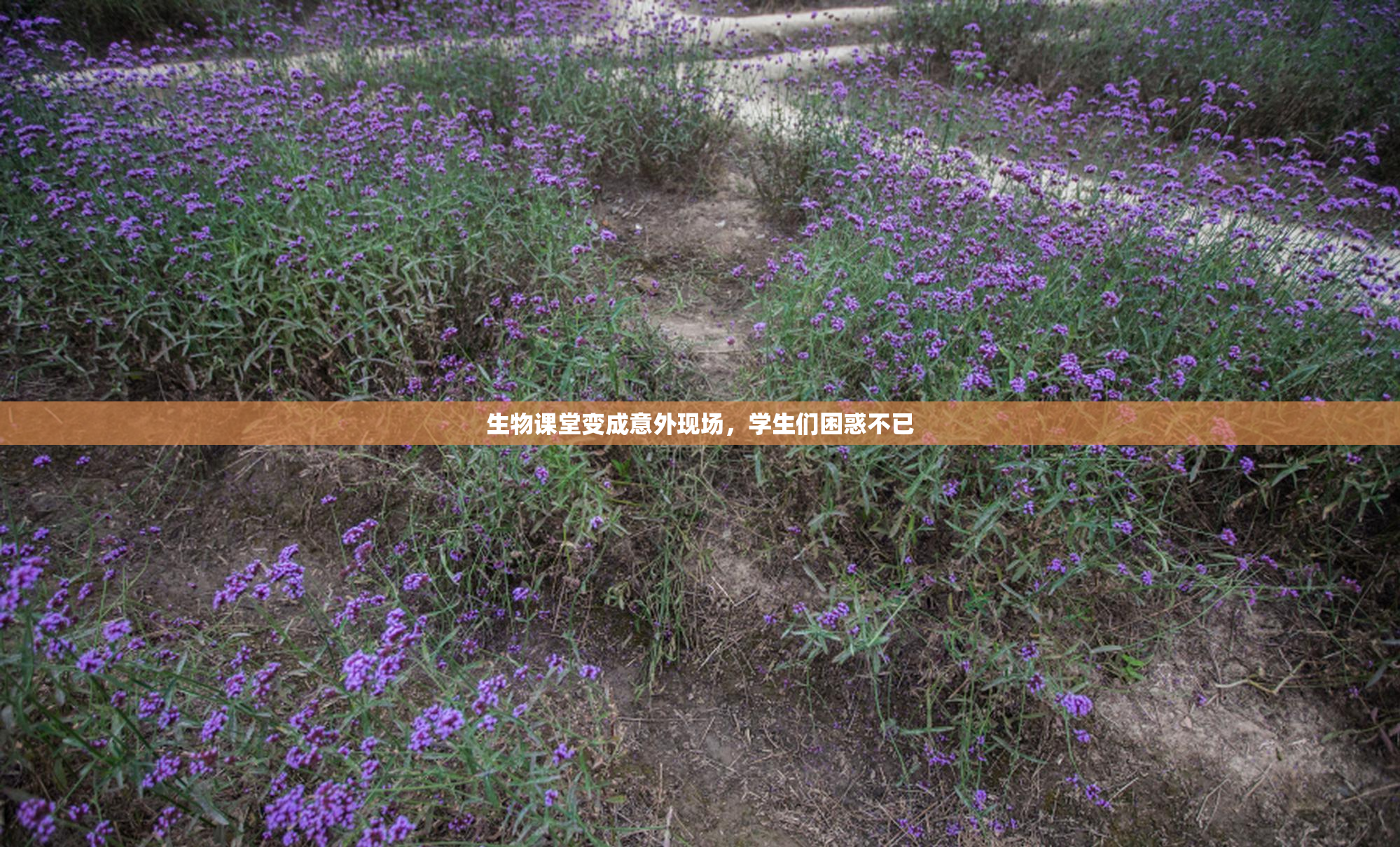 生物课堂变成意外现场，学生们困惑不已