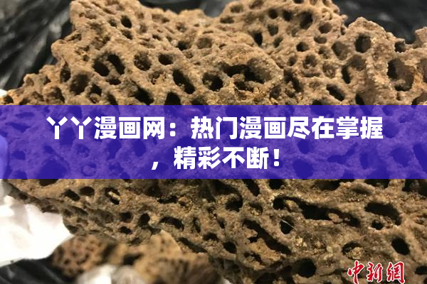丫丫漫画网：热门漫画尽在掌握，精彩不断！