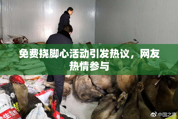 免费挠脚心活动引发热议，网友热情参与