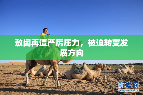 敖闰再遭严厉压力，被迫转变发展方向