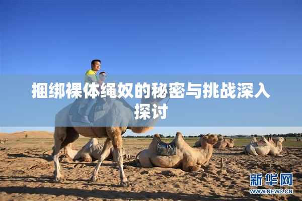 捆绑裸体绳奴的秘密与挑战深入探讨