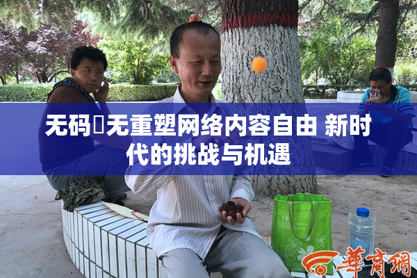 无码囯无重塑网络内容自由 新时代的挑战与机遇