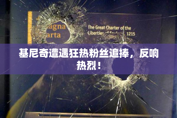 基尼奇遭遇狂热粉丝追捧，反响热烈！