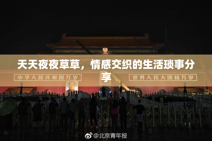 天天夜夜草草，情感交织的生活琐事分享