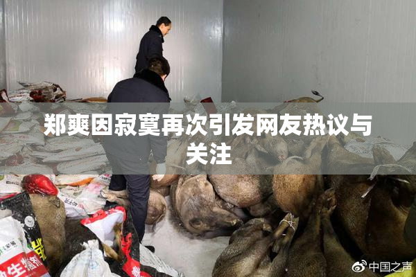 郑爽因寂寞再次引发网友热议与关注