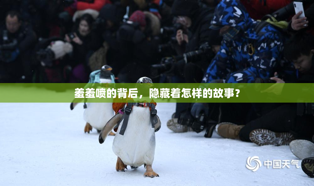 羞羞喷的背后，隐藏着怎样的故事？