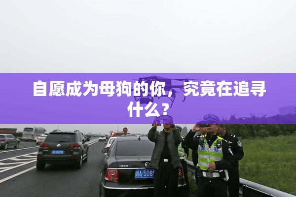 自愿成为母狗的你，究竟在追寻什么？