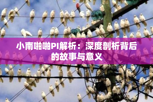 小南啪啪PI解析：深度剖析背后的故事与意义