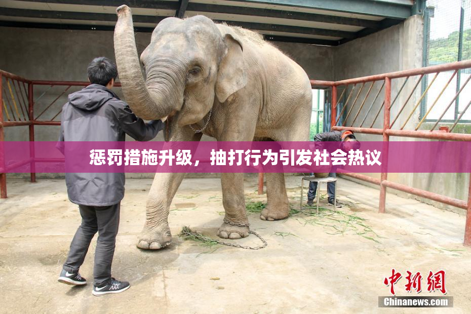 惩罚措施升级，抽打行为引发社会热议