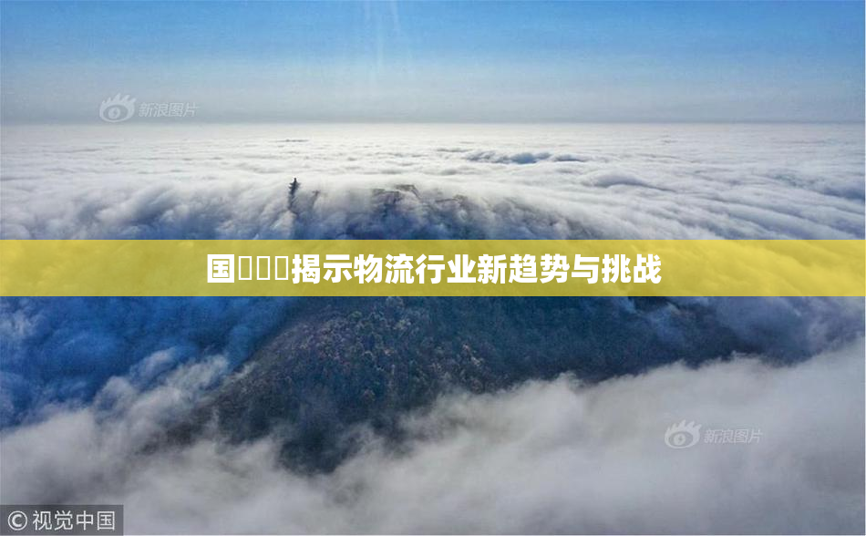 国產梱綁揭示物流行业新趋势与挑战