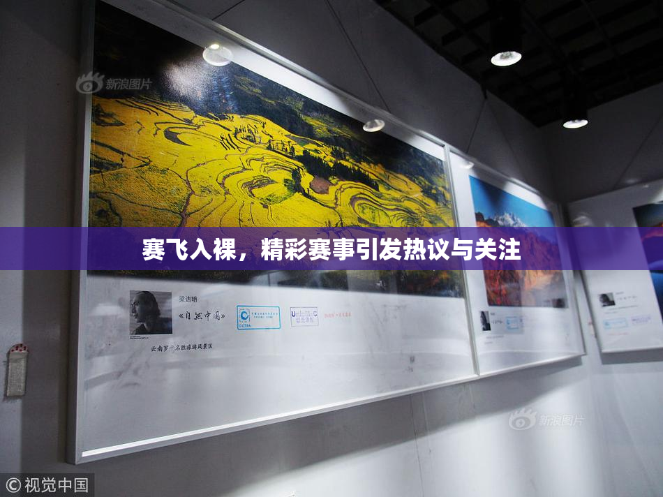 赛飞入裸，精彩赛事引发热议与关注
