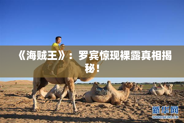 《海贼王》：罗宾惊现裸露真相揭秘！