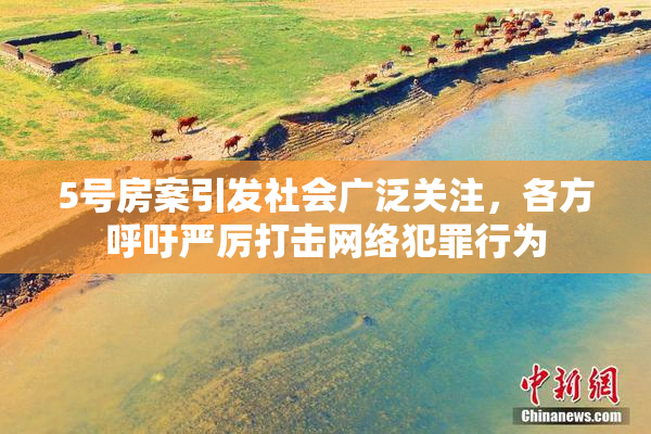5号房案引发社会广泛关注，各方呼吁严厉打击网络犯罪行为