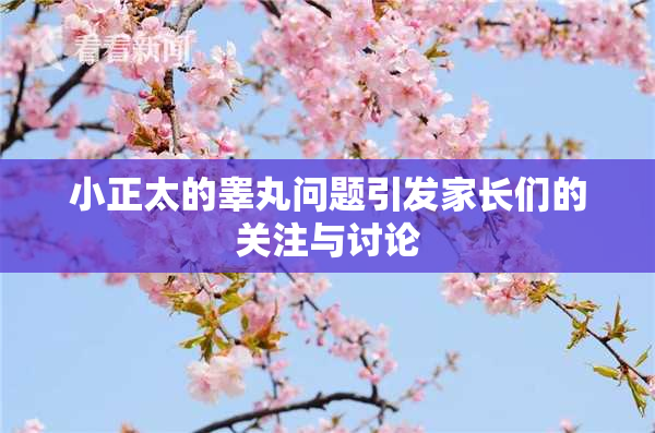 小正太的睾丸问题引发家长们的关注与讨论