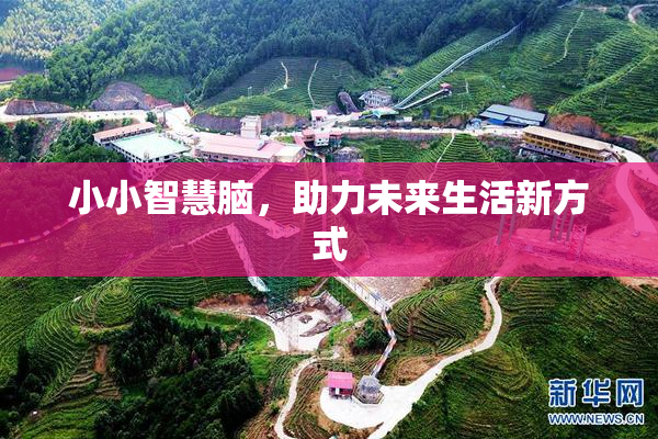 小小智慧脑，助力未来生活新方式