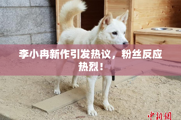 李小冉新作引发热议，粉丝反应热烈！