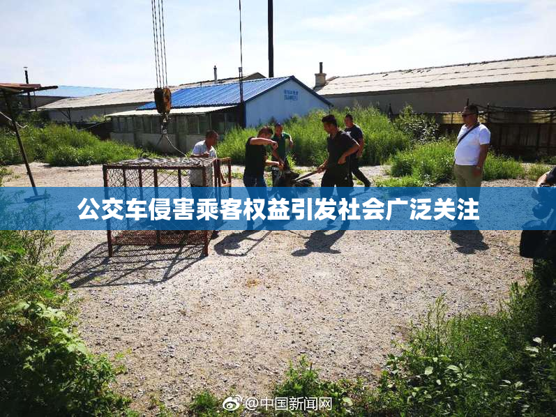 公交车侵害乘客权益引发社会广泛关注