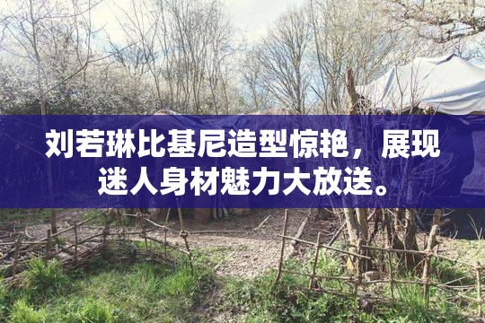 刘若琳比基尼造型惊艳，展现迷人身材魅力大放送。