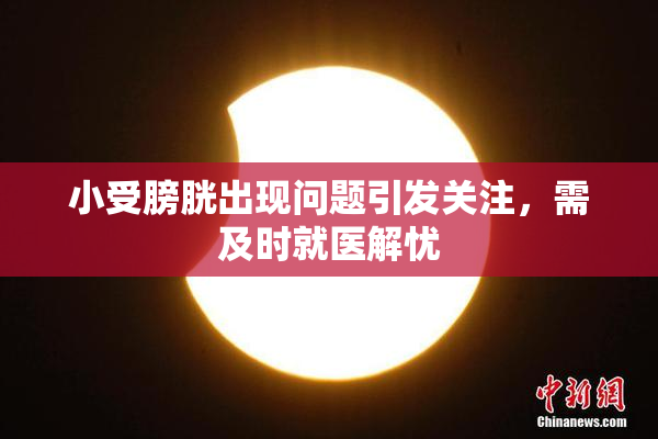 小受膀胱出现问题引发关注，需及时就医解忧