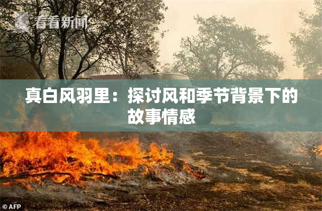 真白风羽里：探讨风和季节背景下的故事情感