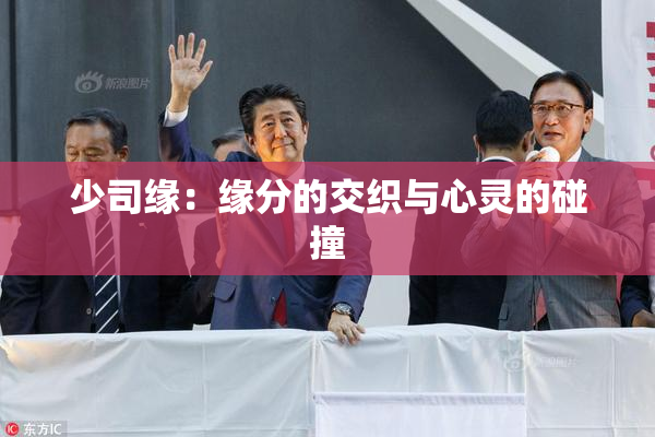少司缘：缘分的交织与心灵的碰撞