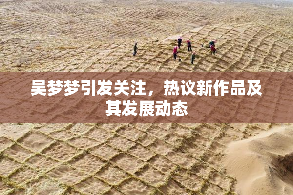 吴梦梦引发关注，热议新作品及其发展动态