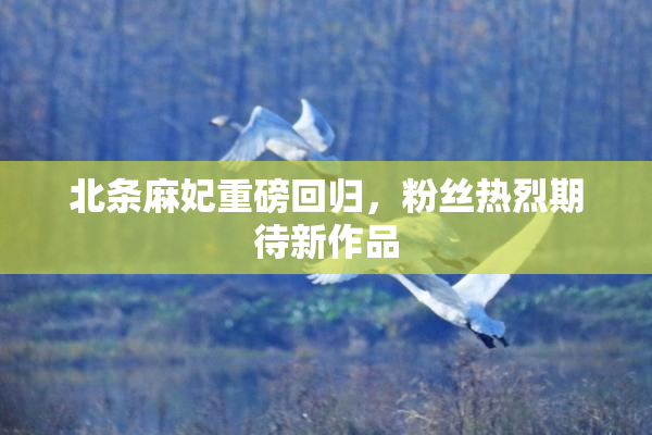 北条麻妃重磅回归，粉丝热烈期待新作品