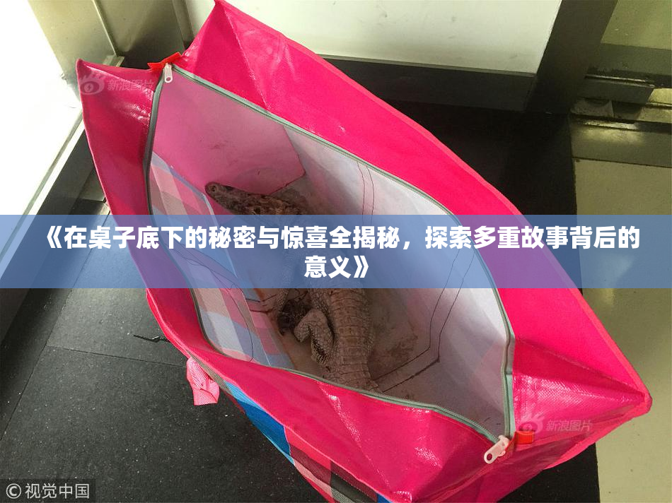 《在桌子底下的秘密与惊喜全揭秘，探索多重故事背后的意义》