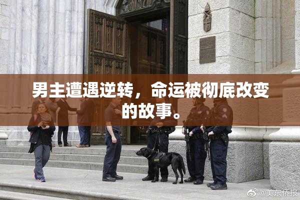 男主遭遇逆转，命运被彻底改变的故事。