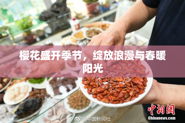 樱花盛开季节，绽放浪漫与春暖阳光