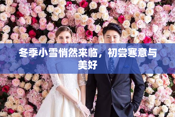 冬季小雪悄然来临，初尝寒意与美好