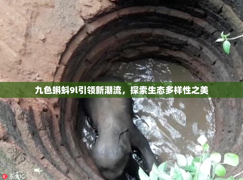 九色蝌蚪9l引领新潮流，探索生态多样性之美