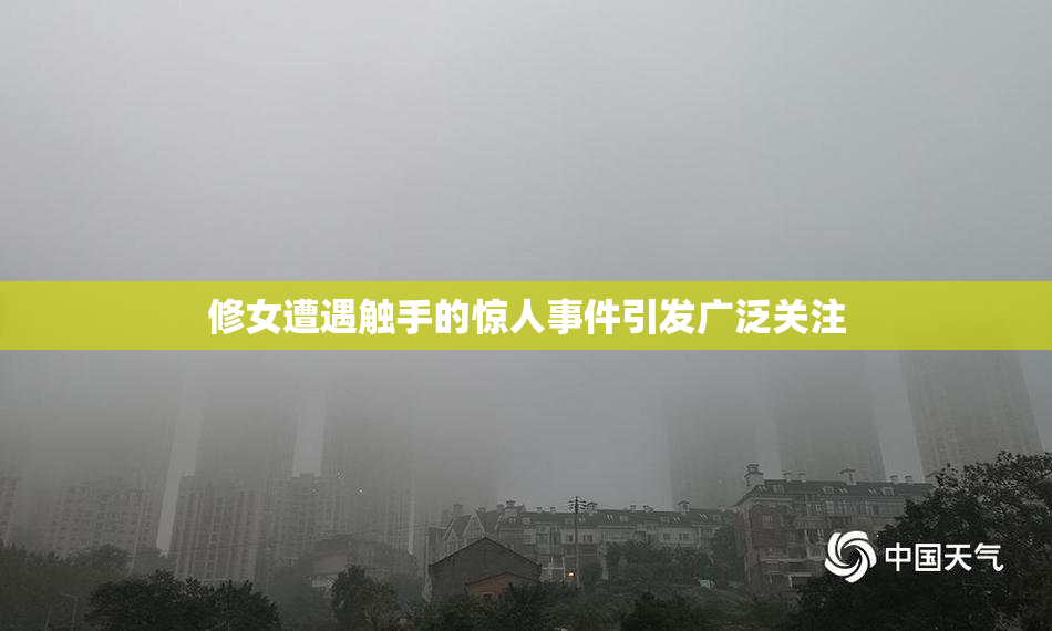 修女遭遇触手的惊人事件引发广泛关注