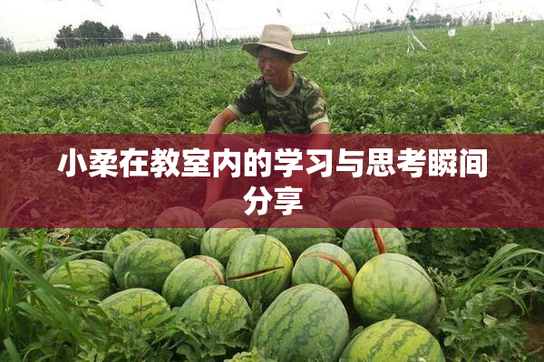 小柔在教室内的学习与思考瞬间分享