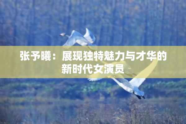 张予曦：展现独特魅力与才华的新时代女演员