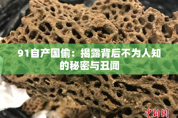 91自产国偷：揭露背后不为人知的秘密与丑闻