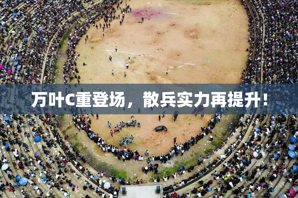 万叶C重登场，散兵实力再提升！