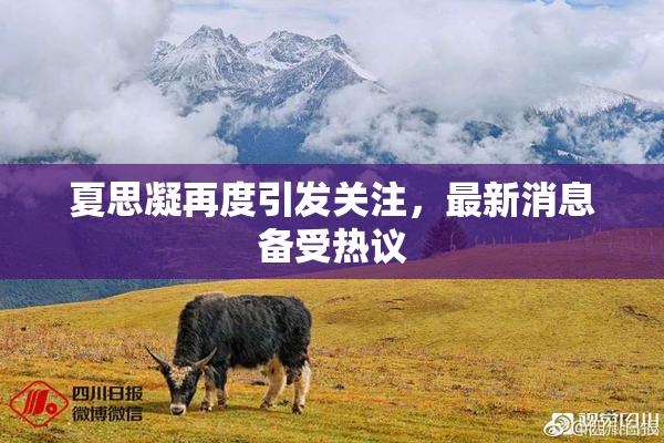 夏思凝再度引发关注，最新消息备受热议
