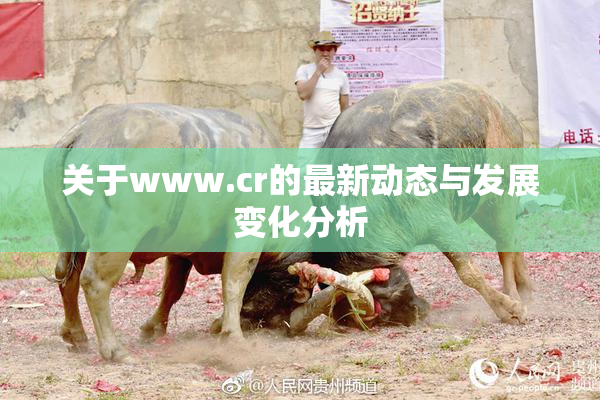 关于www.cr的最新动态与发展变化分析